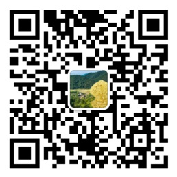 财神争霸下载